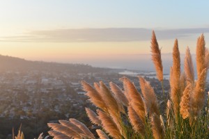 sunset-ocean-los-angeles-sunrise
