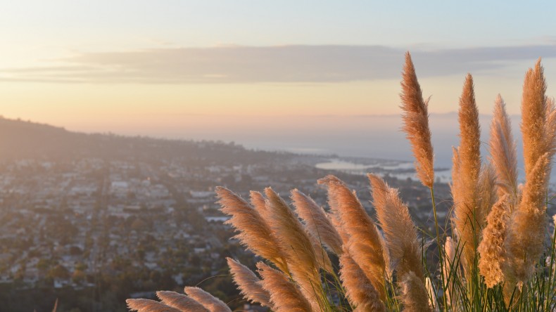 sunset-ocean-los-angeles-sunrise