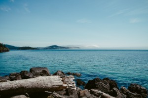 wood-sea-landscape-nature